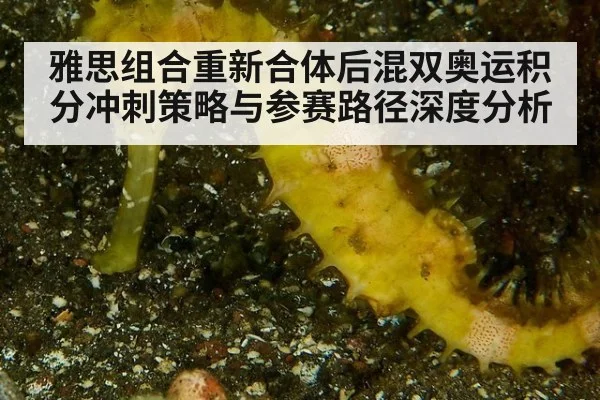 雅思组合重新合体后混双奥运积分冲刺策略与参赛路径深度分析